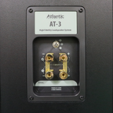 AT-3 (1 Pair)