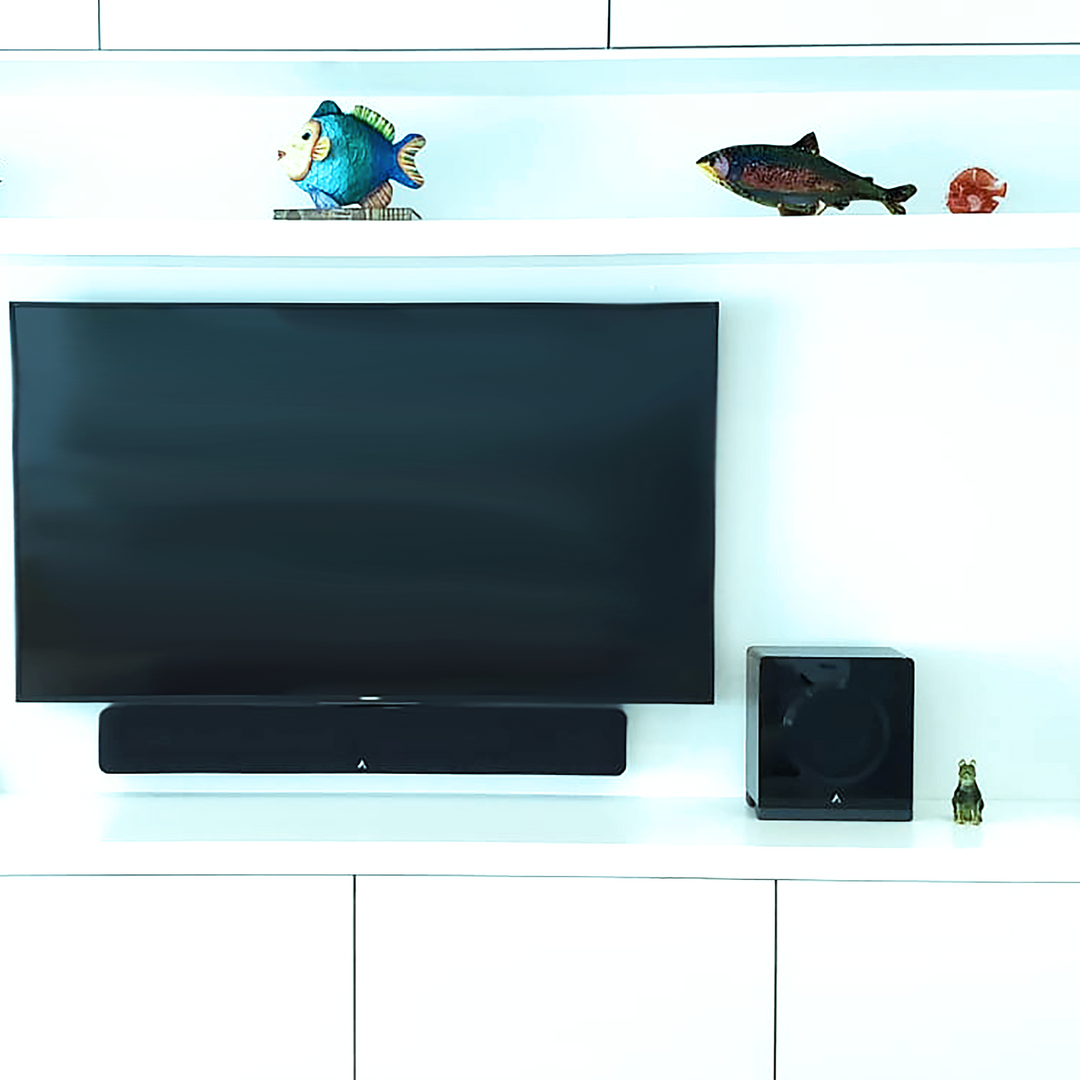 S65/S8 Wireless Powered Subwoofer